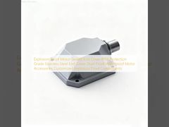 ฝาครอบท้ายมอเตอร์กันระเบิดแบบปิดผนึก ระดับการป้องกัน IP66 ฝาครอบท้ายสแตนเลสสตีล กันฝุ่น กันน้ำ อุปกรณ์เสริมมอเตอร์ กันระเบิดแบบกำหนดเอง